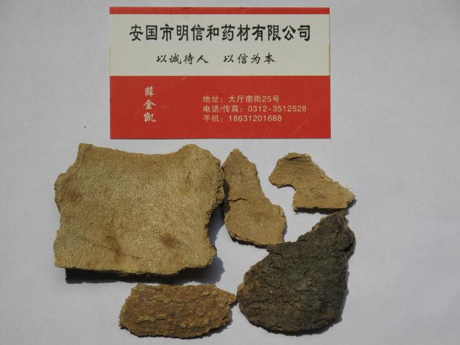椿根皮 冷背药材中的清热燥湿妙品 —— 价格、厂家与采购指南